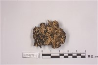 藏品(觸角雪花衣)的圖片